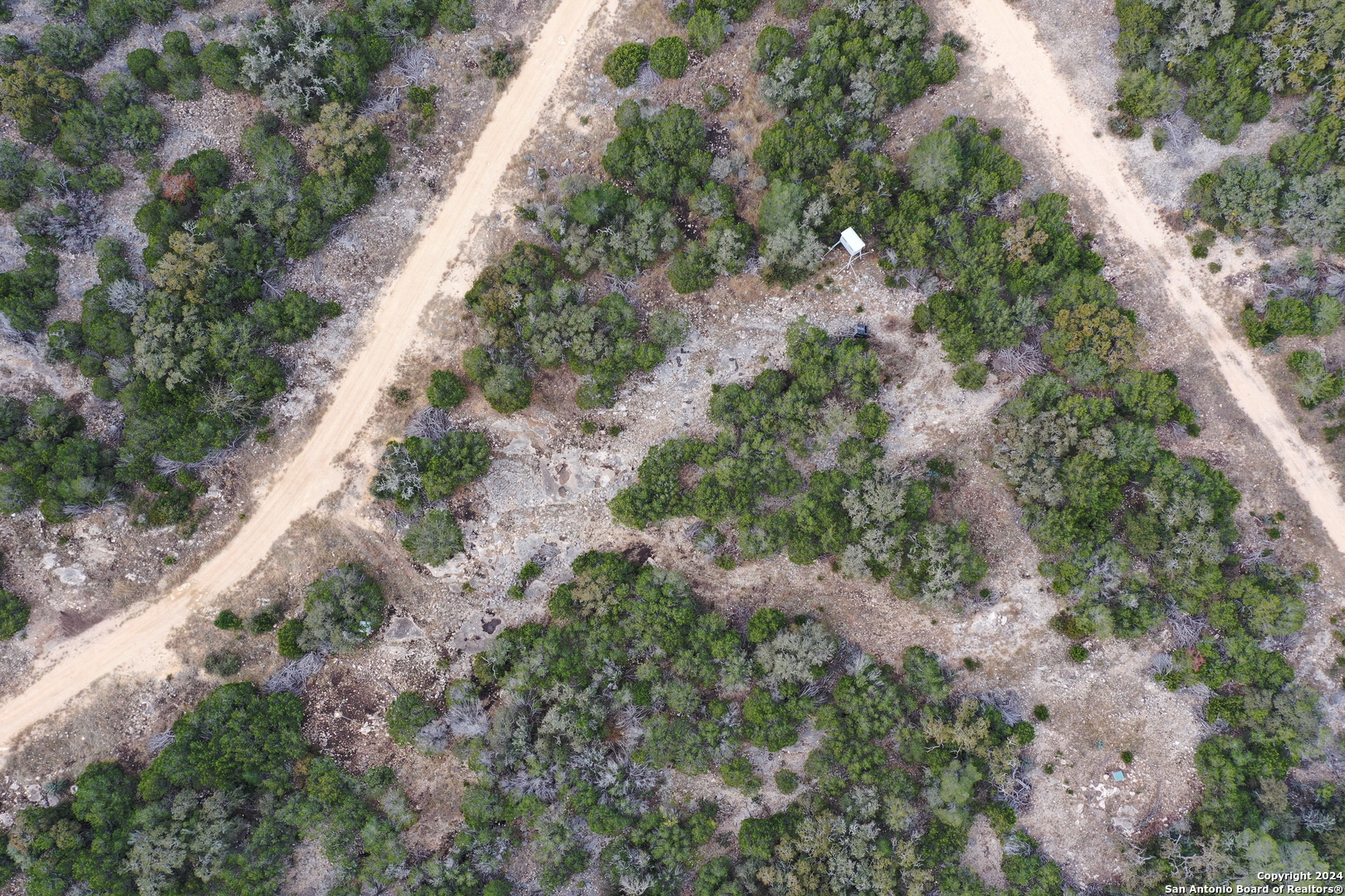 1048 Sd 46067 Del Rio, TX 78840 - Photo 15 of 23 a view of a yard with plants