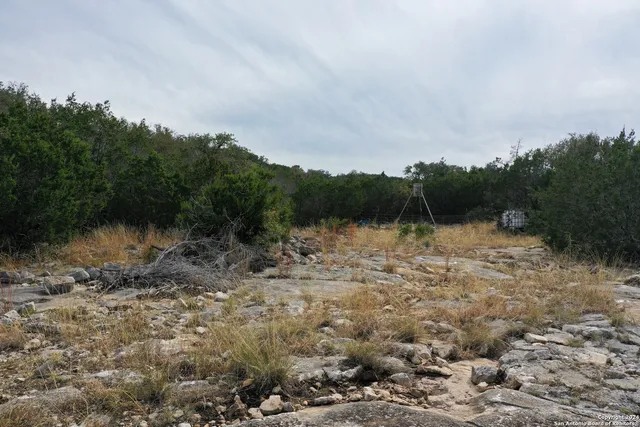an aerial view of a forest with lots of residential buildings