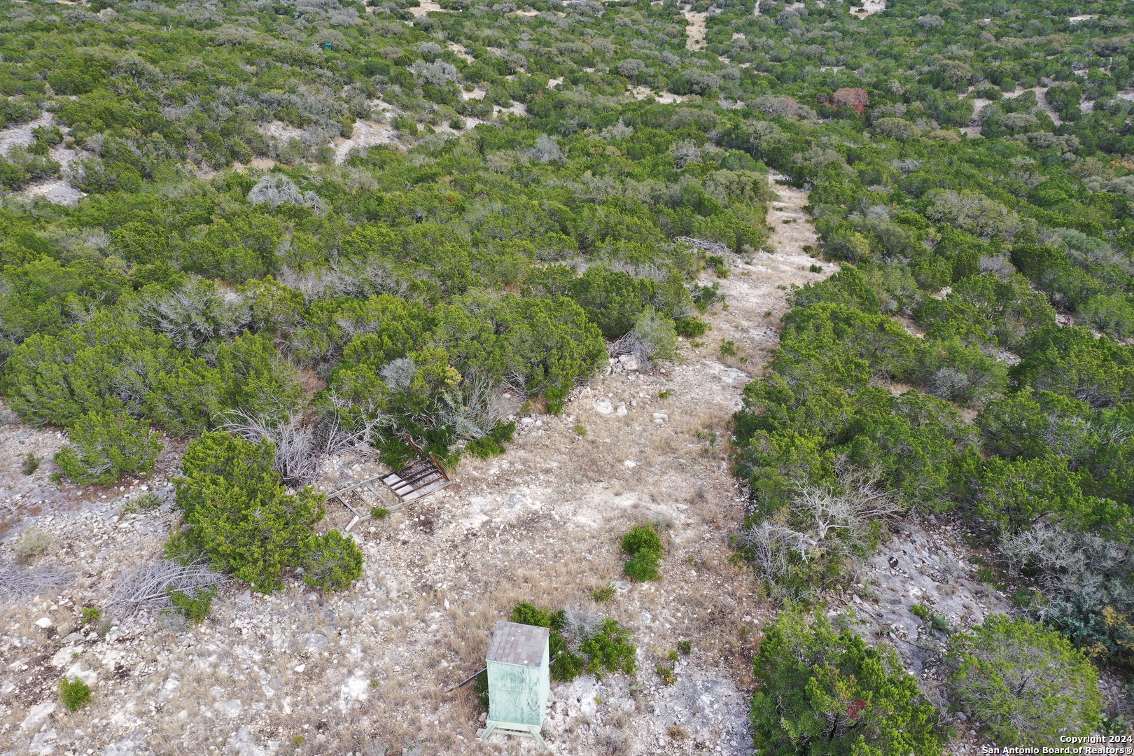 1048 Sd 46067 Del Rio, TX 78840 - Photo 21 of 23 a view of a forest with a tree