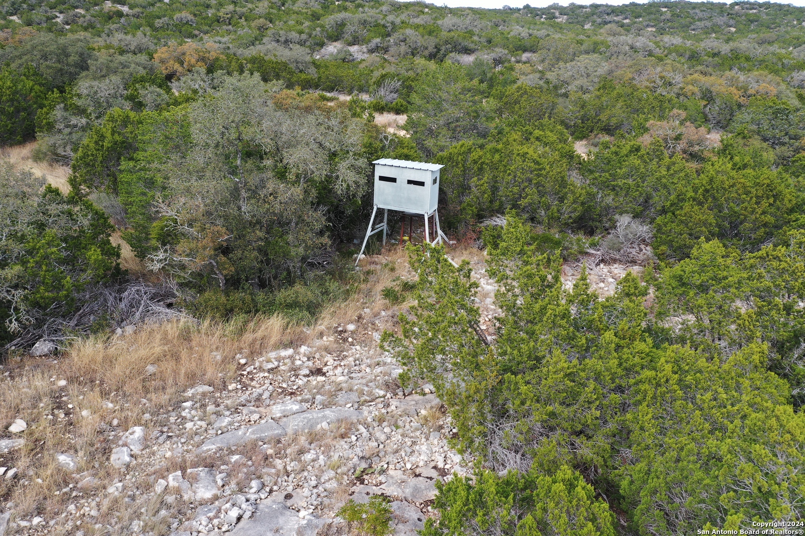 1048 Sd 46067 Del Rio, TX 78840 - Photo 8 of 23 a view of a forest with a bench
