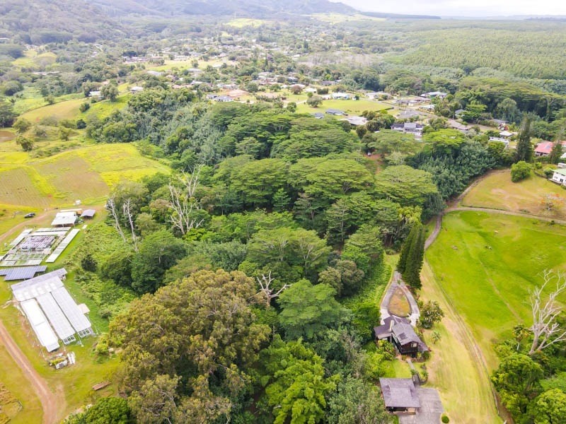 37 Omao Road Koloa, HI 96756 - Photo 11 of 29