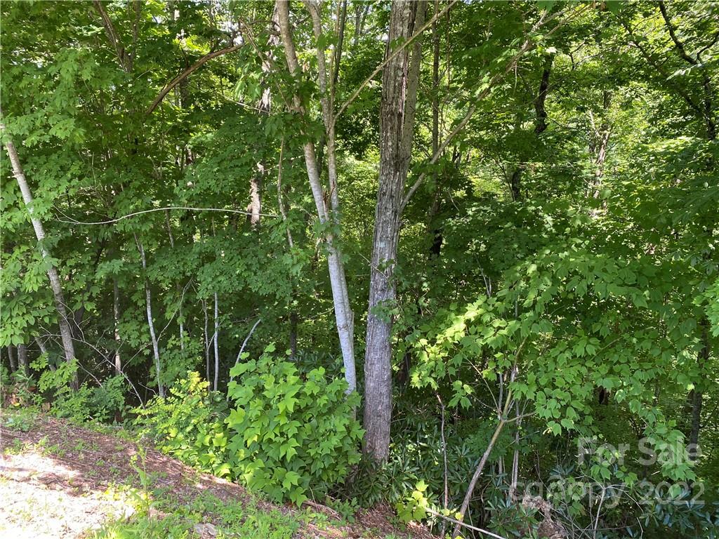 7 Treehouse Road, Unit 7 Whittier, NC 28789 - Photo 1 of 9 Gallery Image 1