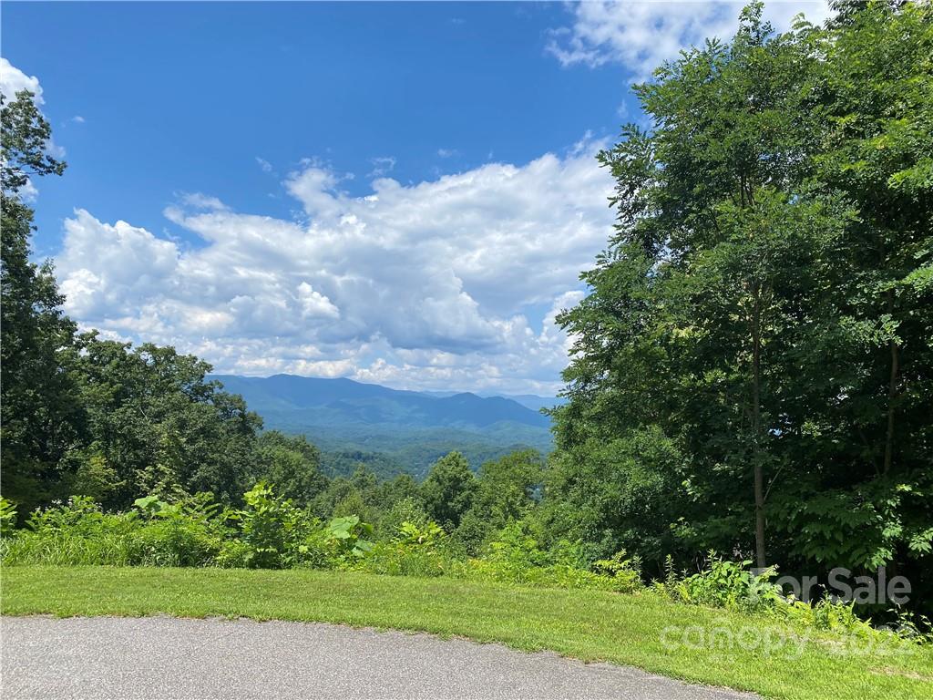 7 Treehouse Road, Unit 7 Whittier, NC 28789 - Photo 2 of 9 Gallery Image 2