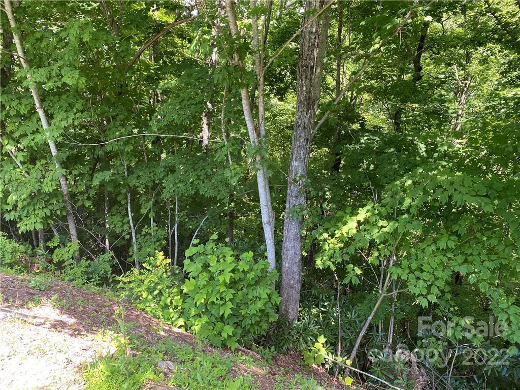 7 Treehouse Road, Unit 7 Whittier, NC 28789 - Photo 3 of 9 Gallery Image 3