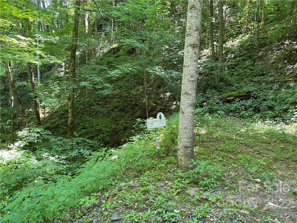7 Treehouse Road, Unit 7 Whittier, NC 28789 - Photo 6 of 9 Gallery Image 6