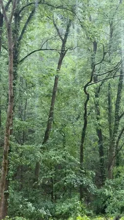 $200,000 | 627 Stewart Hollow Road, Lynchburg, TN 37352