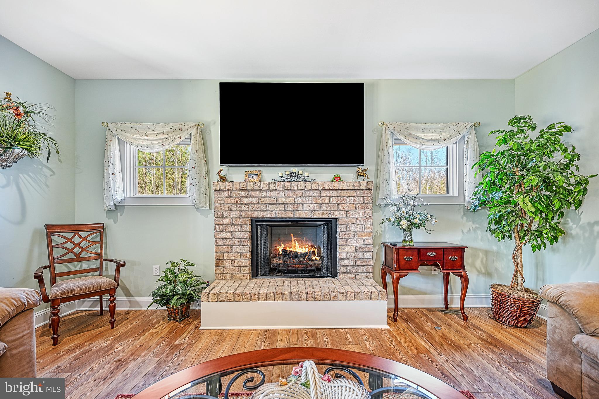 496 Halls Store Road Mineral, VA 23117 - Photo 9 of 50 Propane fireplace
