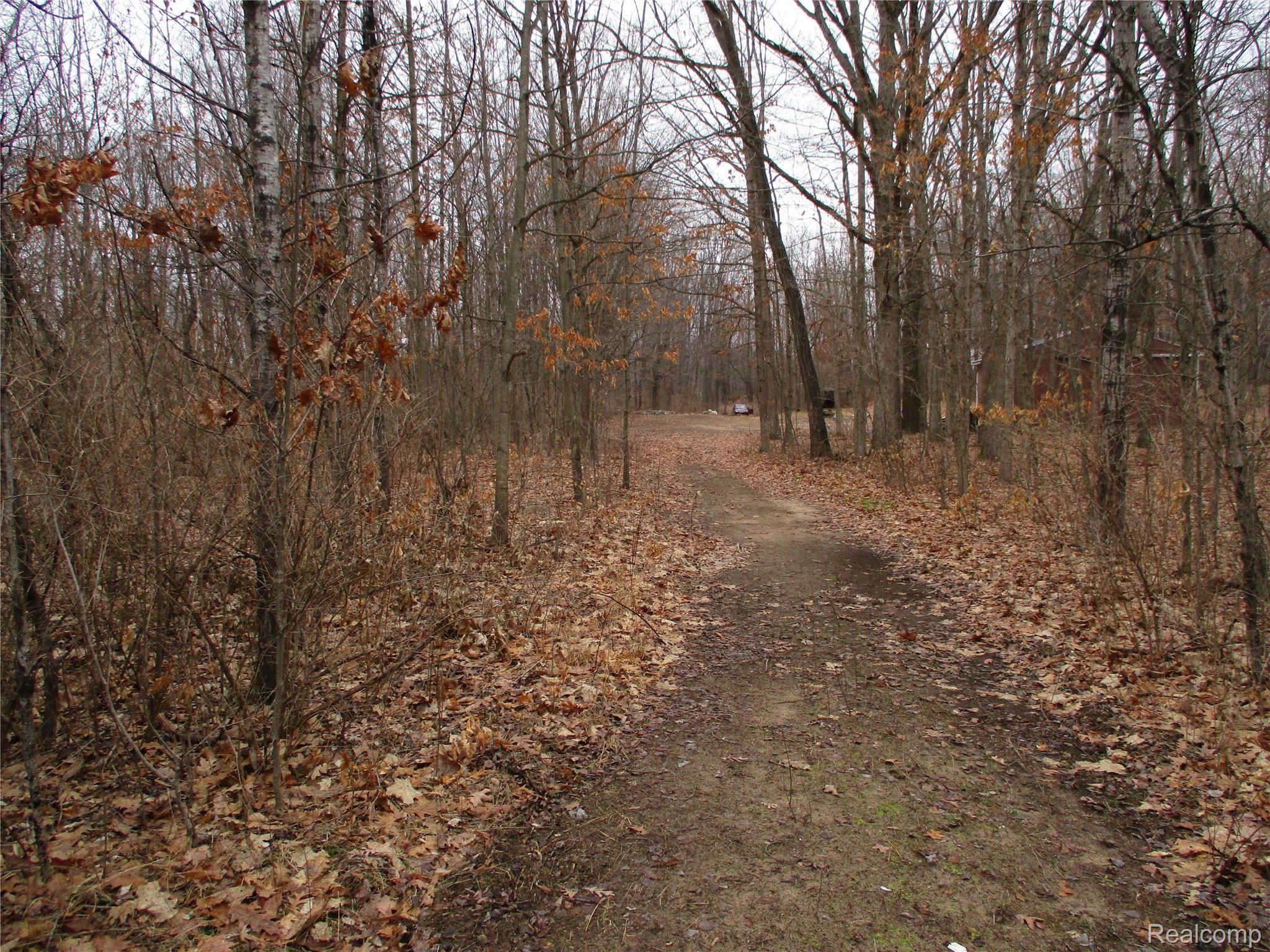 4700 Washburn Road Vassar, MI 48768 - Photo 14 of 20 IMG_0016.JPG