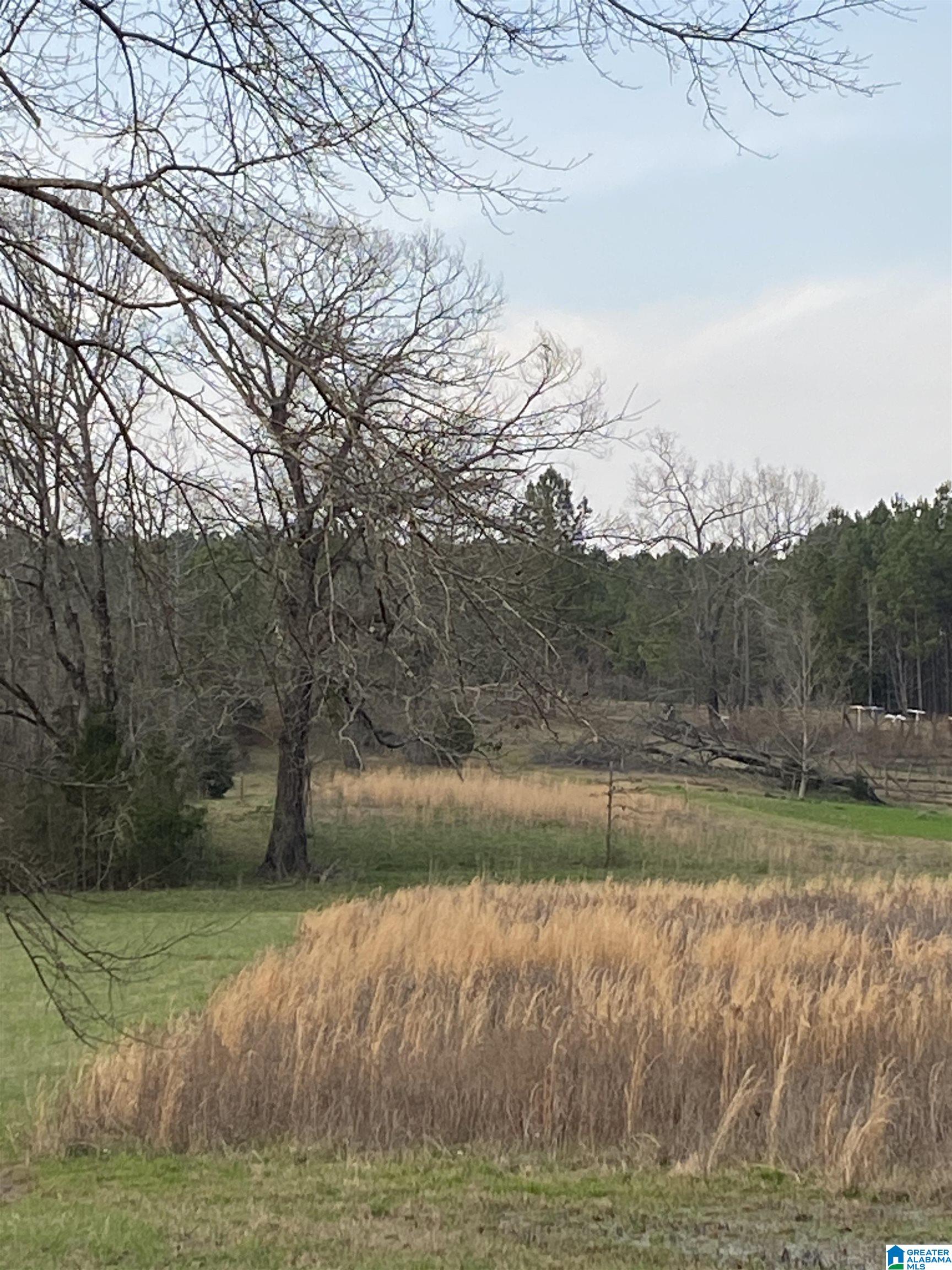 Bridlewood Farms Road, Unit 2 Montevallo, AL 35115 - Photo 6 of 25