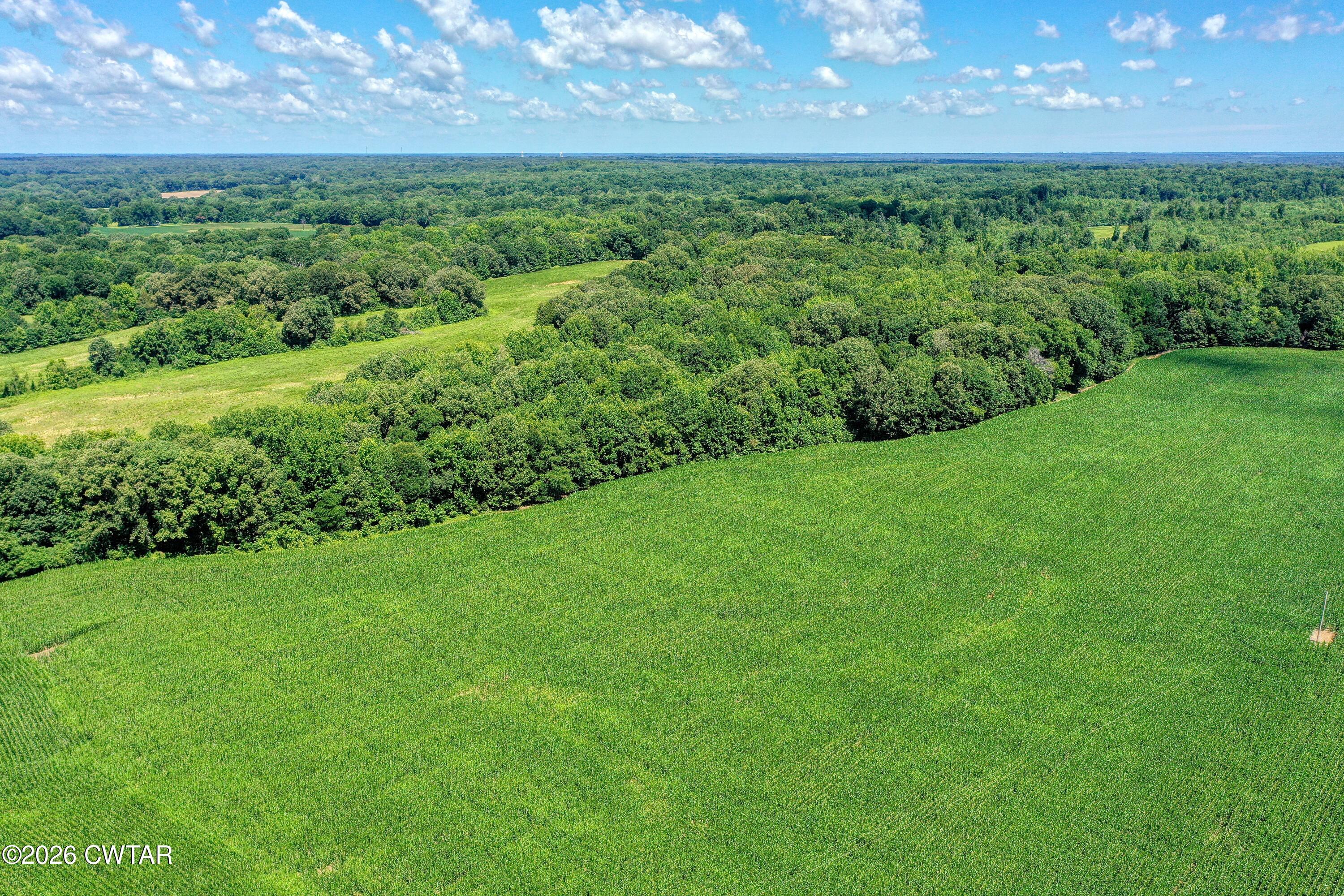 0 Perry Road Knoxville, TN 37914 - Photo 5 of 12 DJI_0132