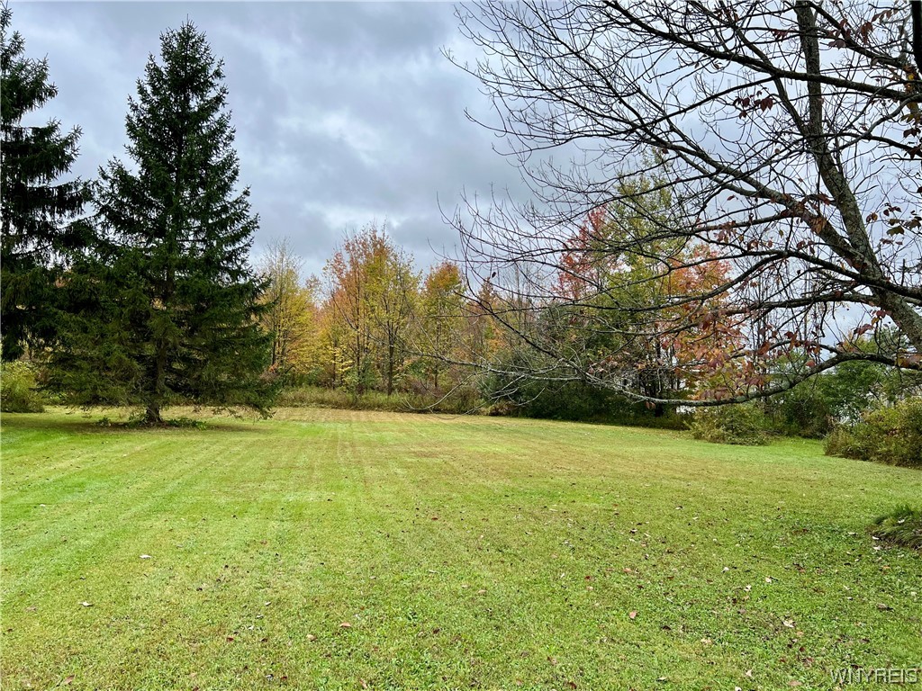 446 Town Line Road Lancaster, NY 14086 - Photo 9 of 47