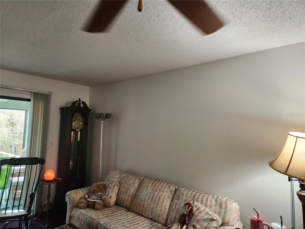 2119 Elm Street, Unit 103 Dunedin, FL 34698 - Photo 13 of 74