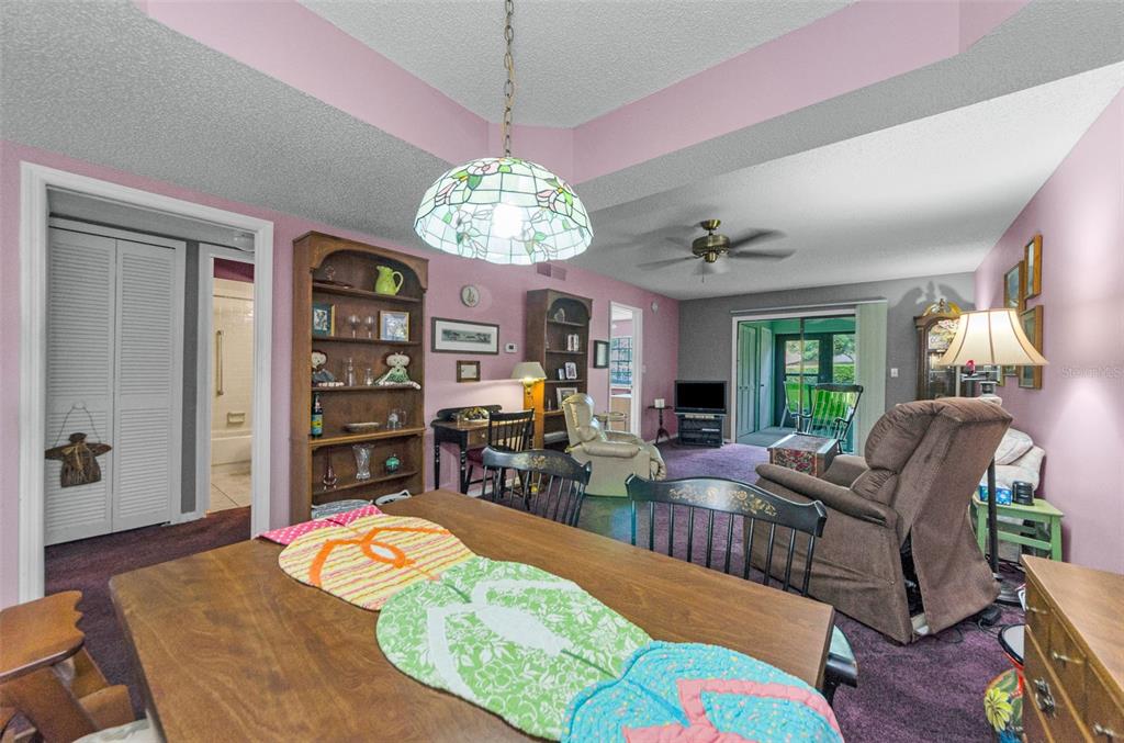 2119 Elm Street, Unit 103 Dunedin, FL 34698 - Photo 18 of 69 a living room with furniture chandelier and a chandelier