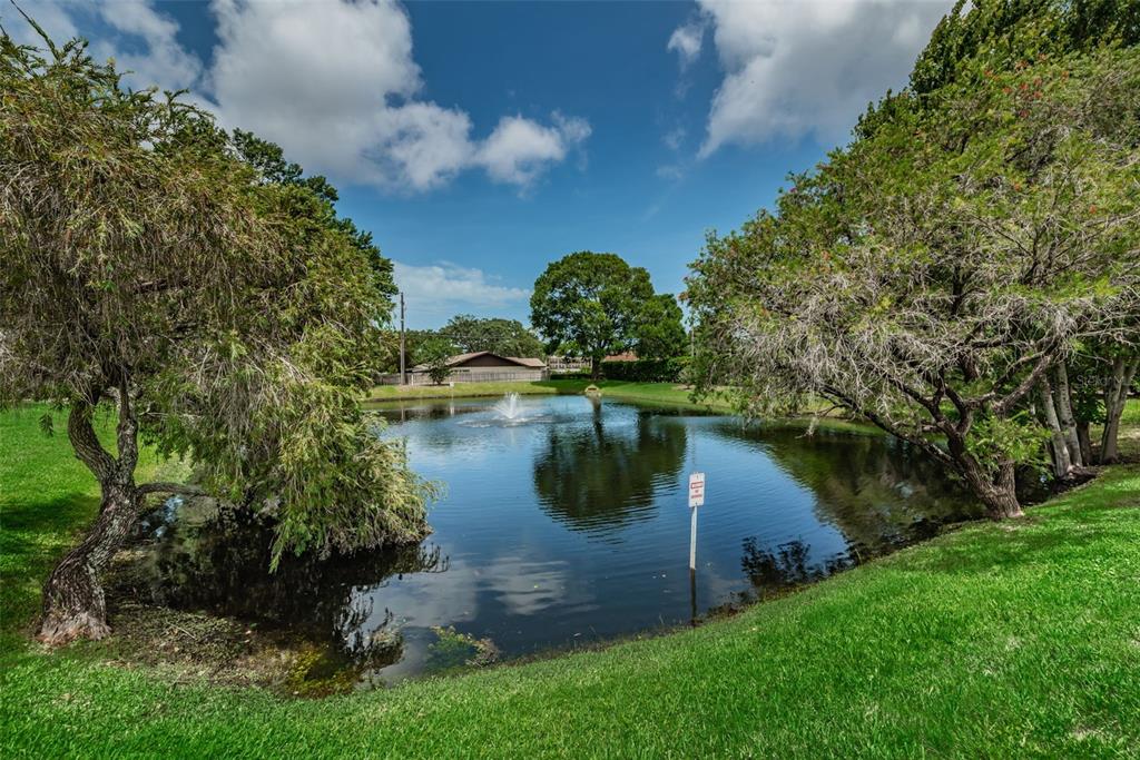2119 Elm Street, Unit 103 Dunedin, FL 34698 - Photo 49 of 69 a view of a lake with a yard