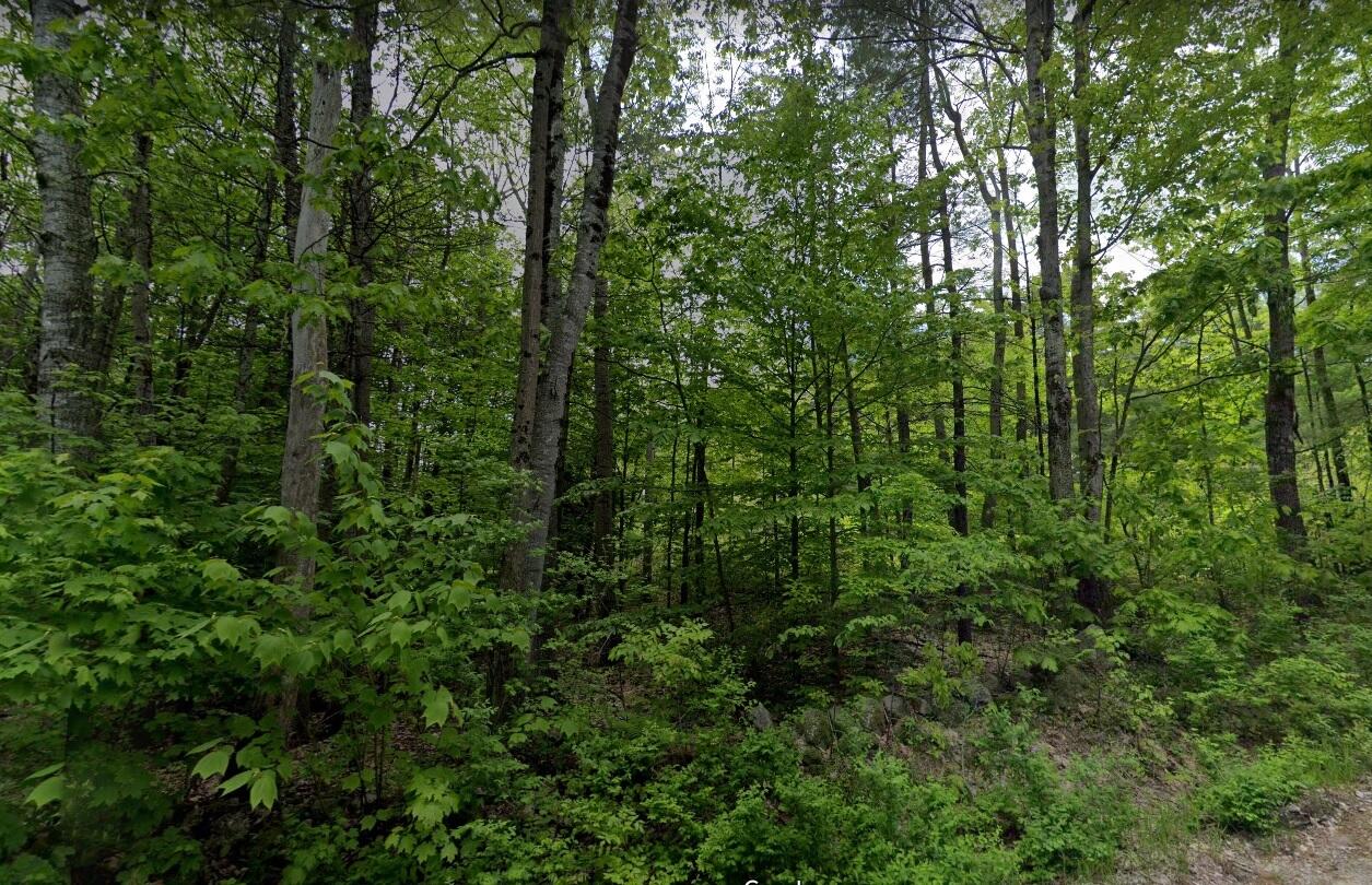 Tbd Jackson Hill Road Minot, ME 04258 - Photo 1 of 1 Jackson Hill
