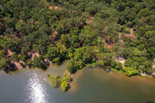 a view of a lake with a forest