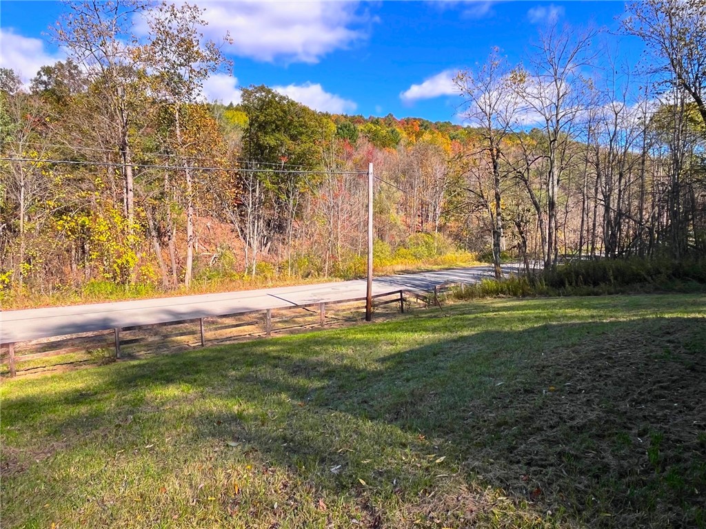 4880 Deusenberry Road Cohocton, NY 14826 - Photo 5 of 25