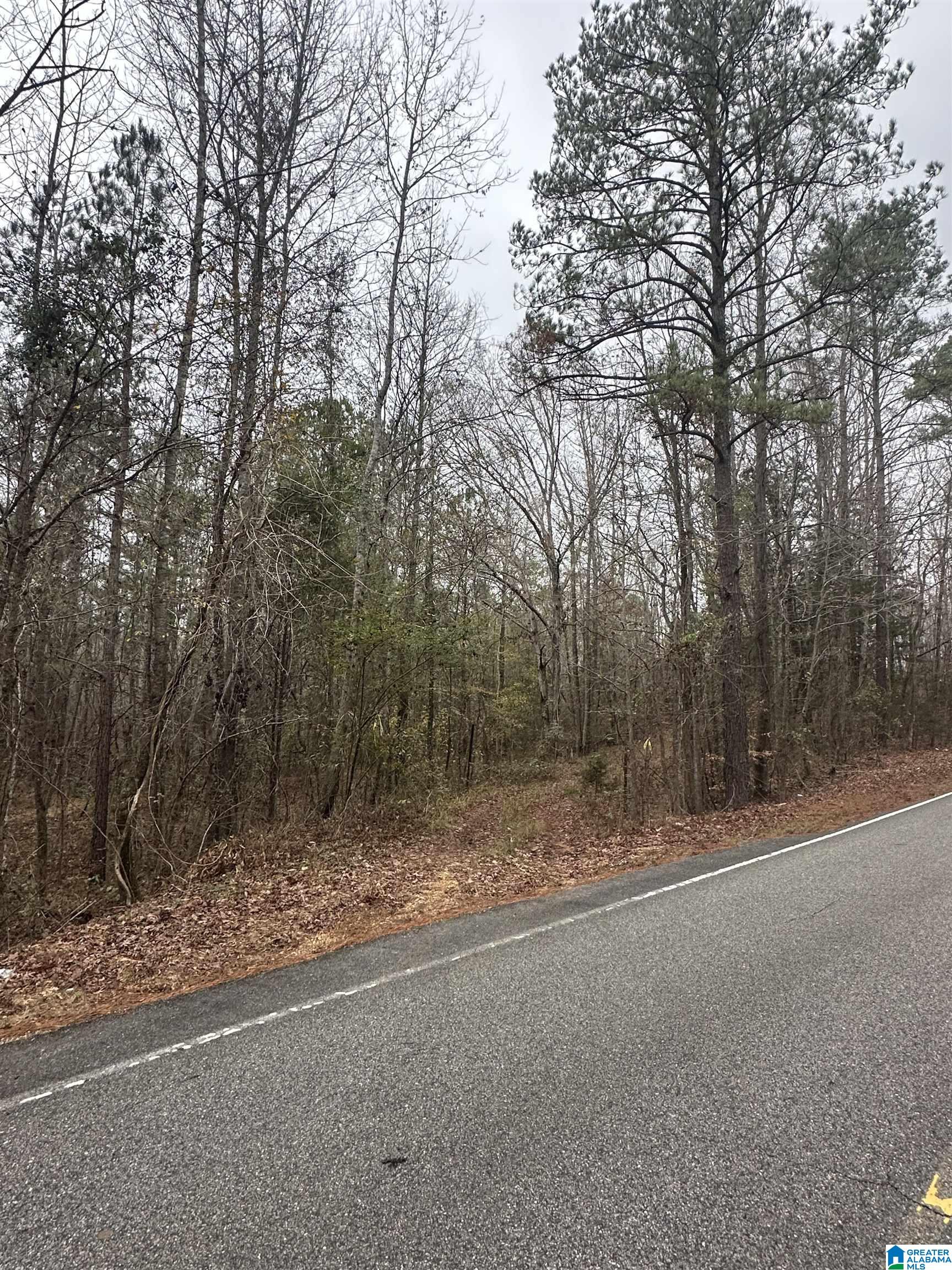1 County Road, Unit 1 Centreville, AL 35042 - Photo 9 of 9