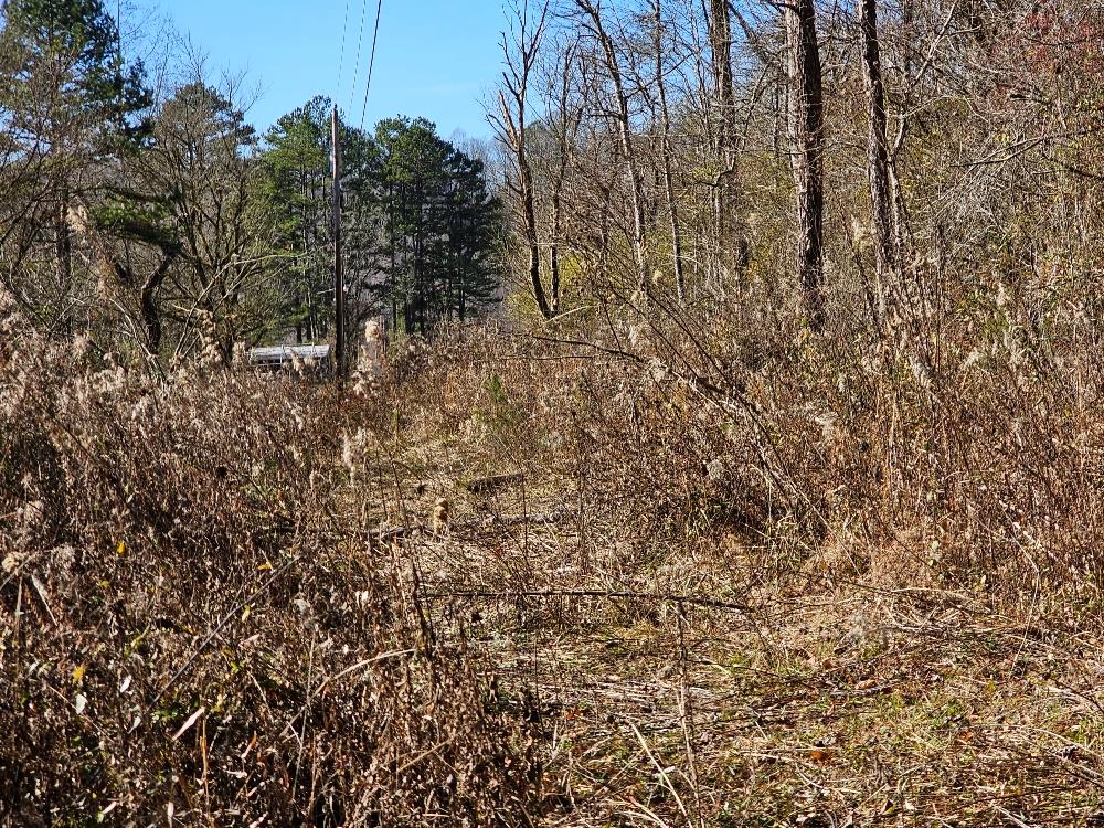 2.0-ac Floyd Stalcup Road Murphy, NC 28906 - Photo 1 of 1 Main View