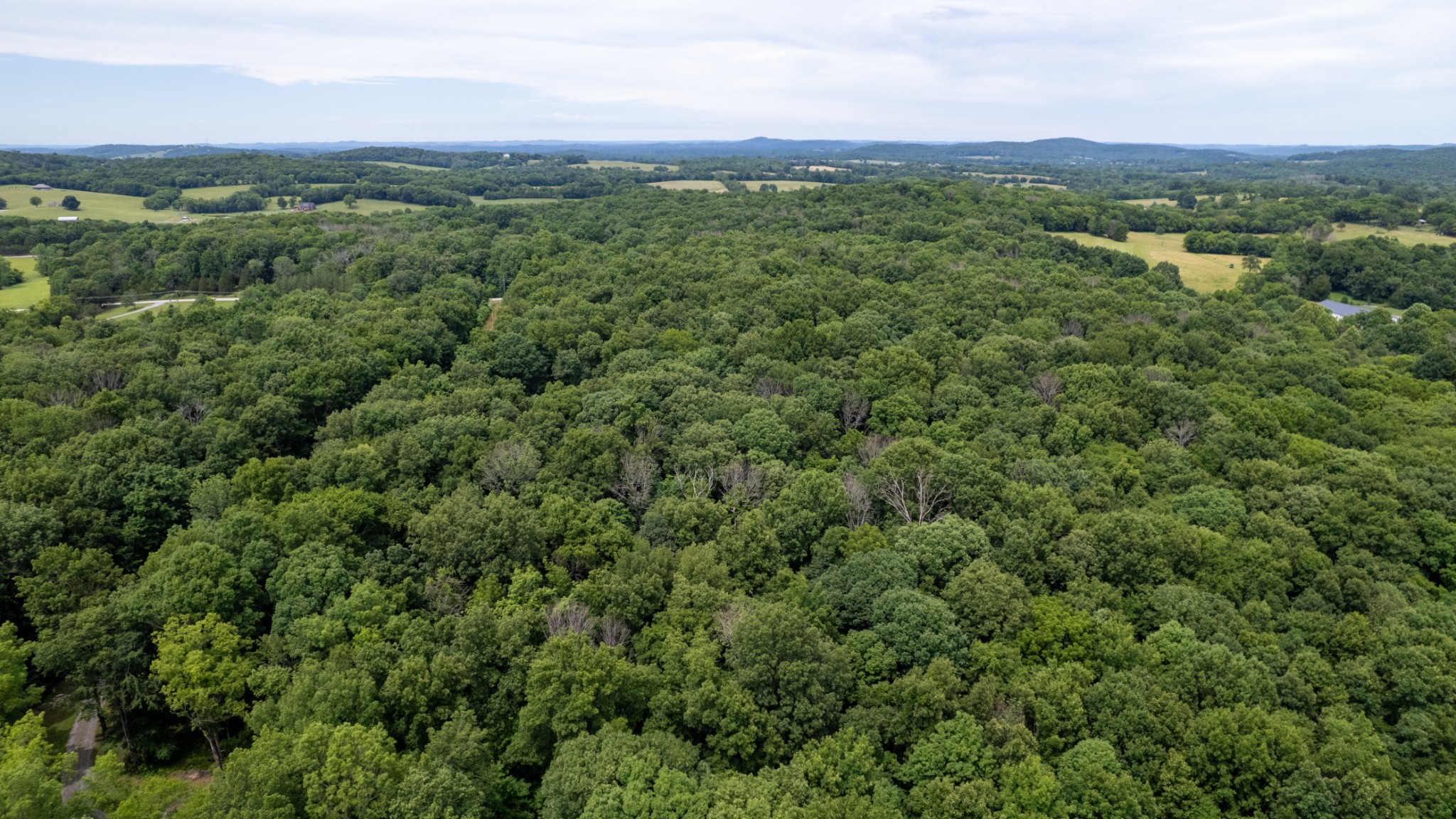 3398 Poplar Hill Road Watertown, TN 37184 - Photo 53 of 62
