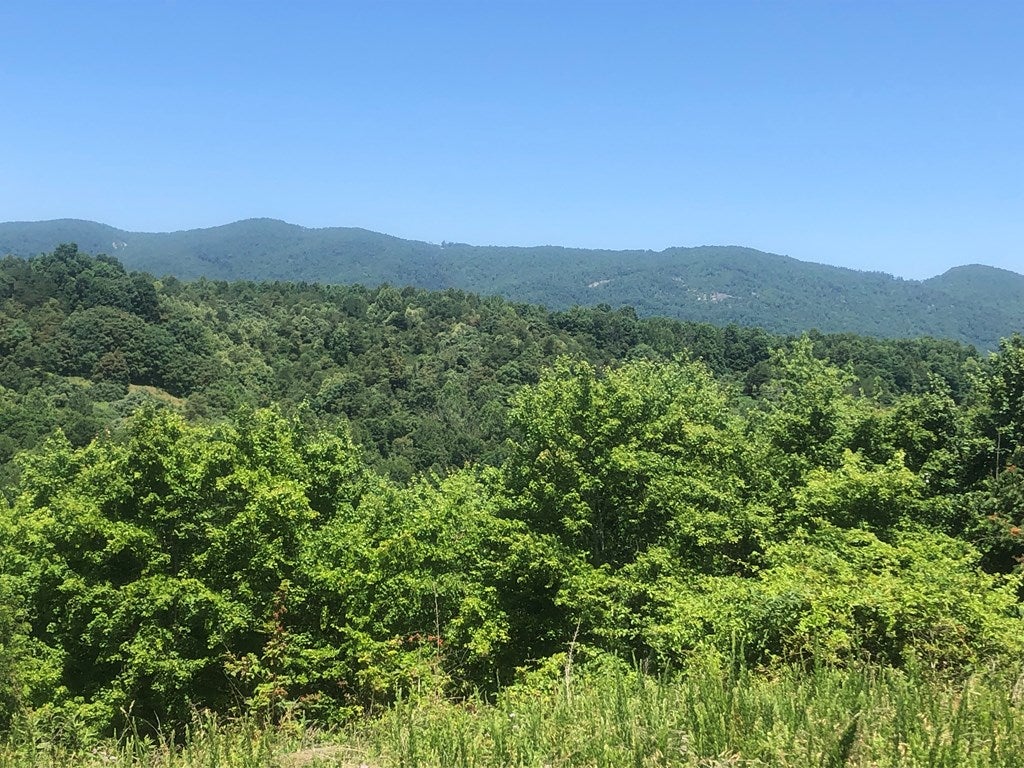 Tbd Pat Field Road Haysi, VA 24256 - Photo 13 of 16 Gallery Image 13