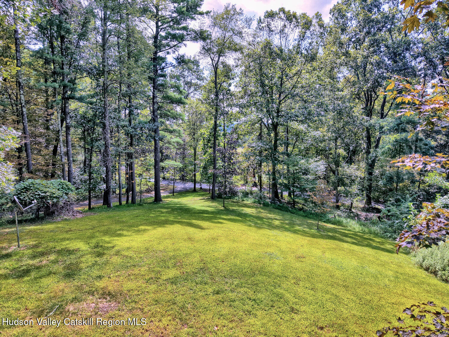 70 Horseneck Road Freehold, NY 12431 - Photo 51 of 70 a view of a trees in front of a house