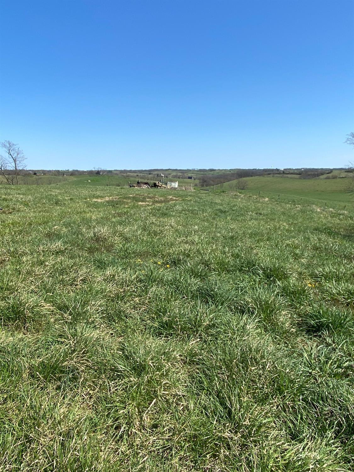 3450 Cane Ridge Road Paris, KY 40361 - Photo 36 of 72 Photo 36