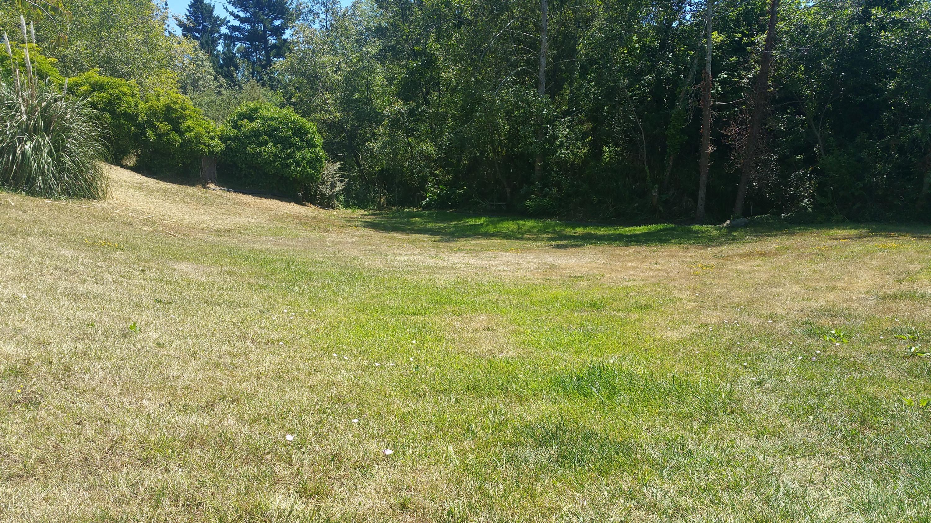 110 Hay Rake Lane Loleta, CA 95551 - Photo 19 of 45 Front yard view