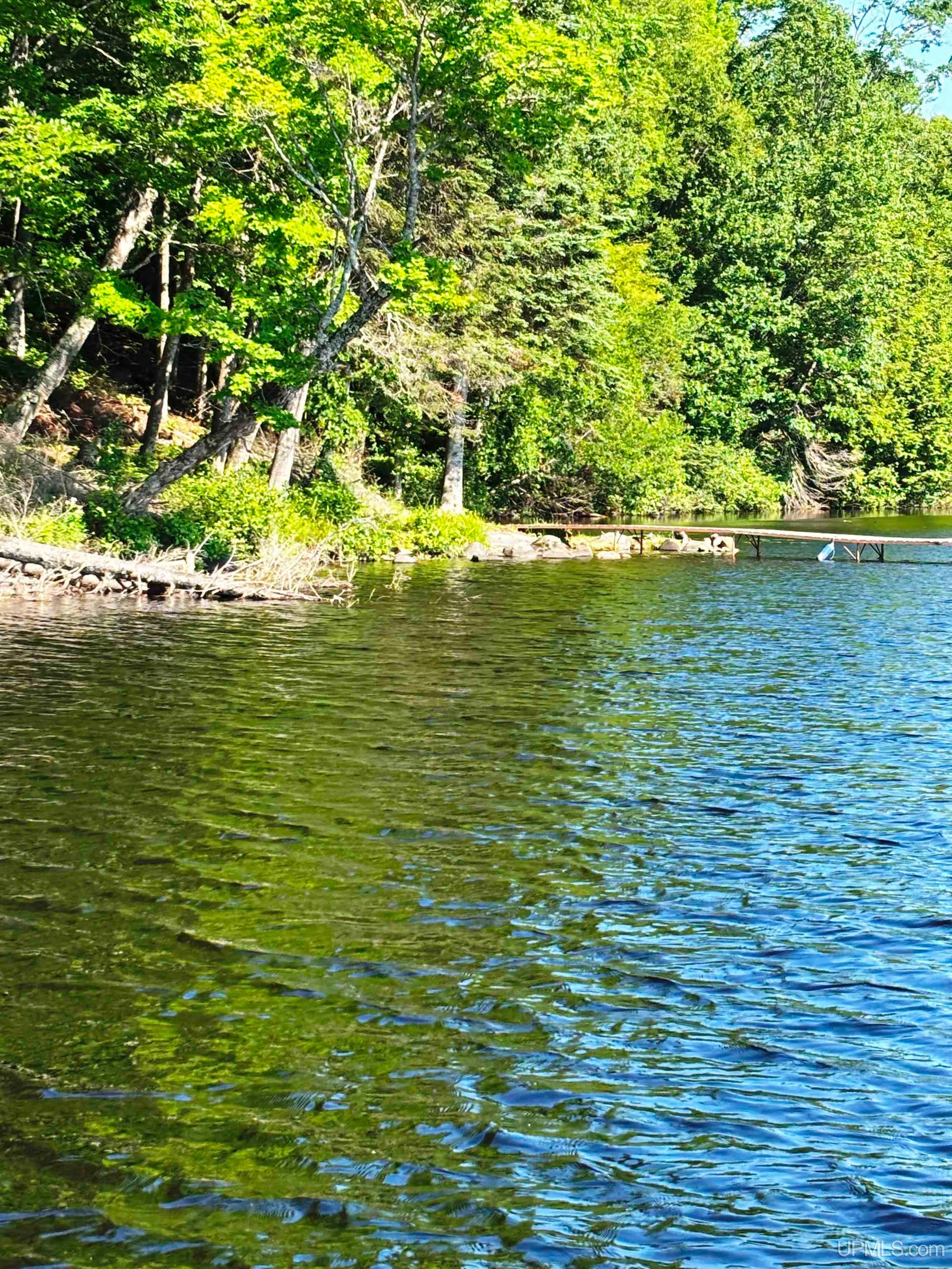 Tbd West Tamarack Lake Road, Unit LOT 5 Watersmeet, MI 49969 - Photo 12 of 66