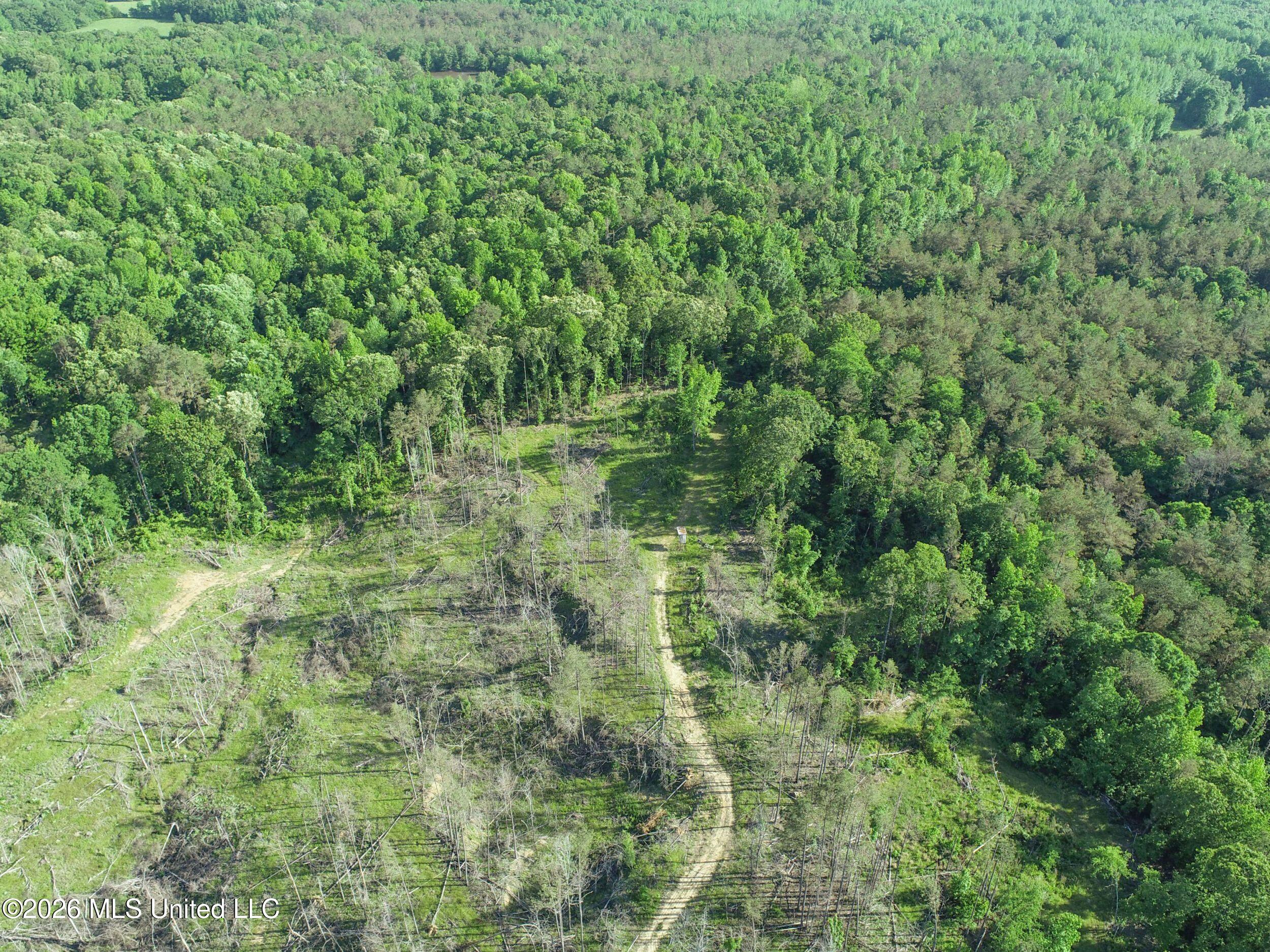 Wayne Massie Road Como, MS 38619 - Photo 35 of 184 3ctwmrd20