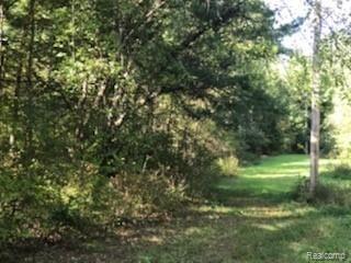 4923 Leix Road Mayville, MI 48744 - Photo 11 of 14