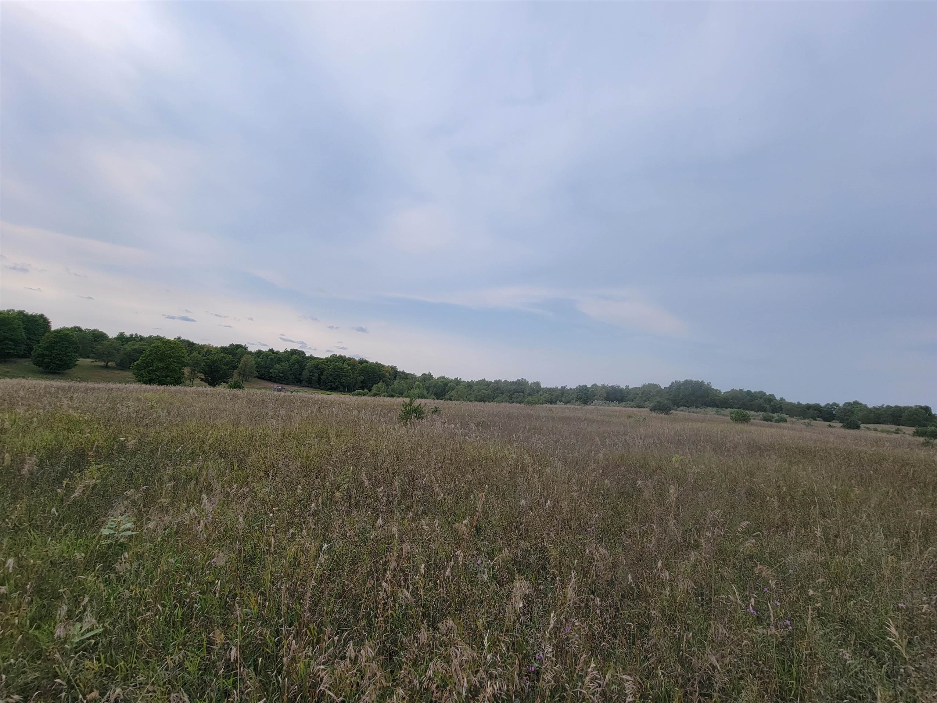 0 Plum Valley Road Northwest Alden, MI 49612 - Photo 8 of 18