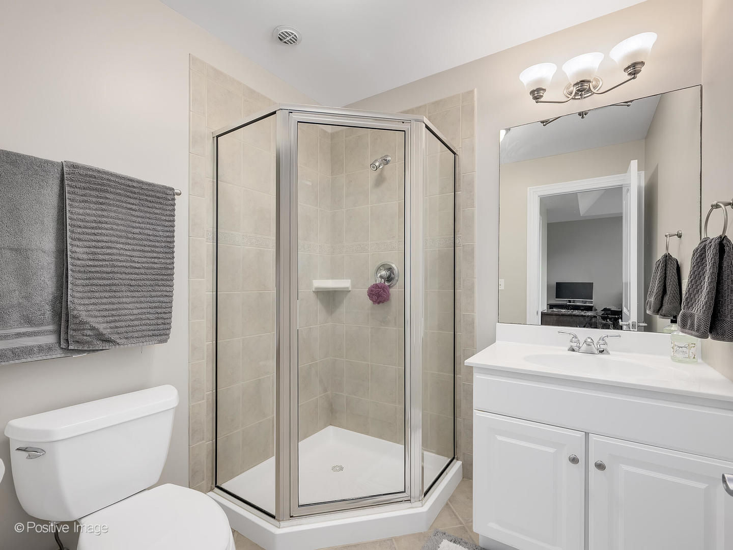 39-w740 Walt Whitman Road St. Charles, IL 60175 - Photo 27 of 39 a bathroom with a shower sink mirror vanity and toilet