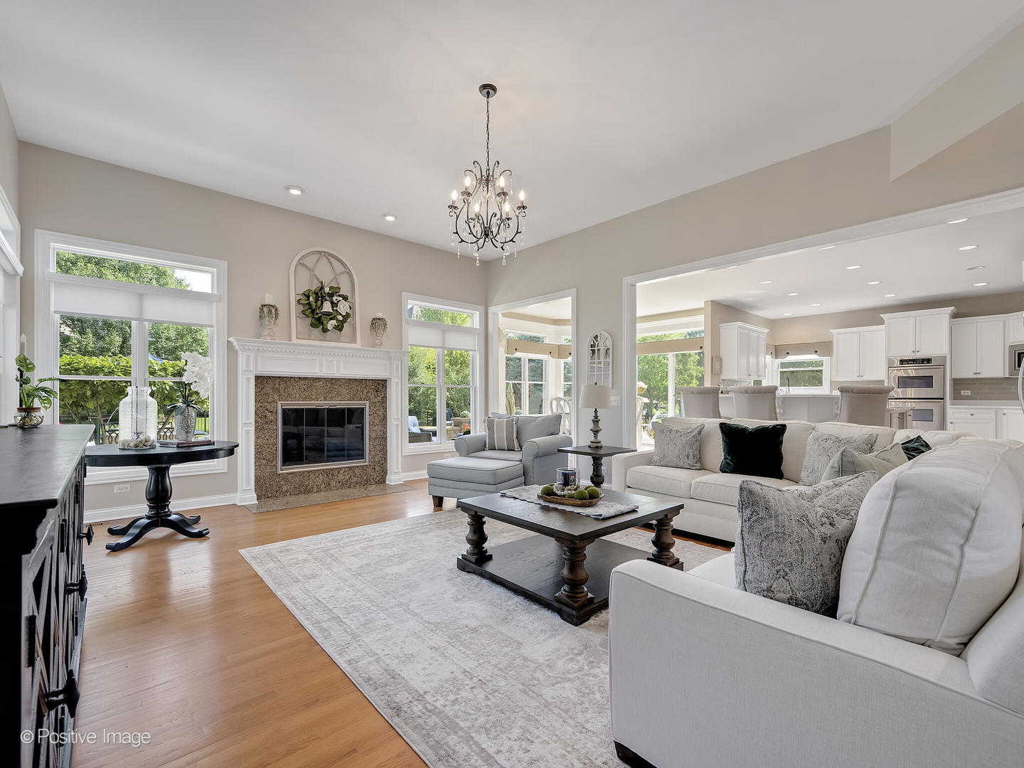 39-w740 Walt Whitman Road St. Charles, IL 60175 - Photo 6 of 39 a living room with furniture fireplace and window