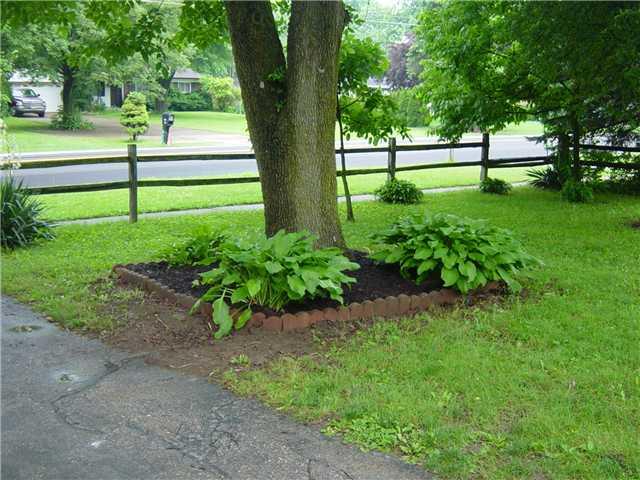 255 North Raceway Road Indianapolis, IN 46234 - Photo 10 of 12 Gallery Image 10