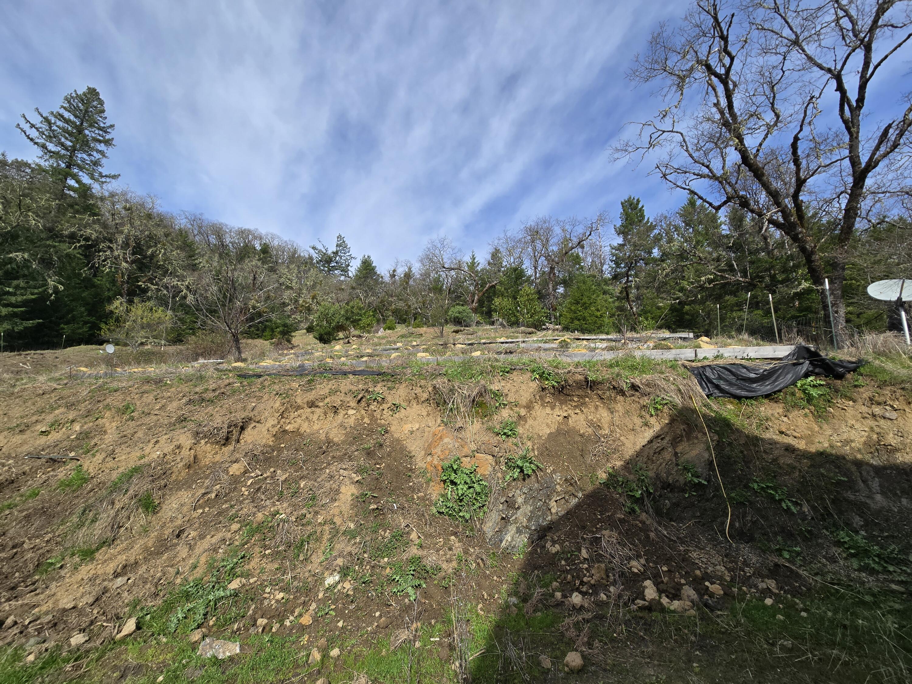495 Wool Mountain Road Zenia, CA 95595 - Photo 4 of 23