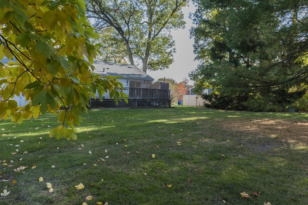 19 Belknap Road Braintree, MA 02184 - Photo 3 of 18 Gallery Image 3