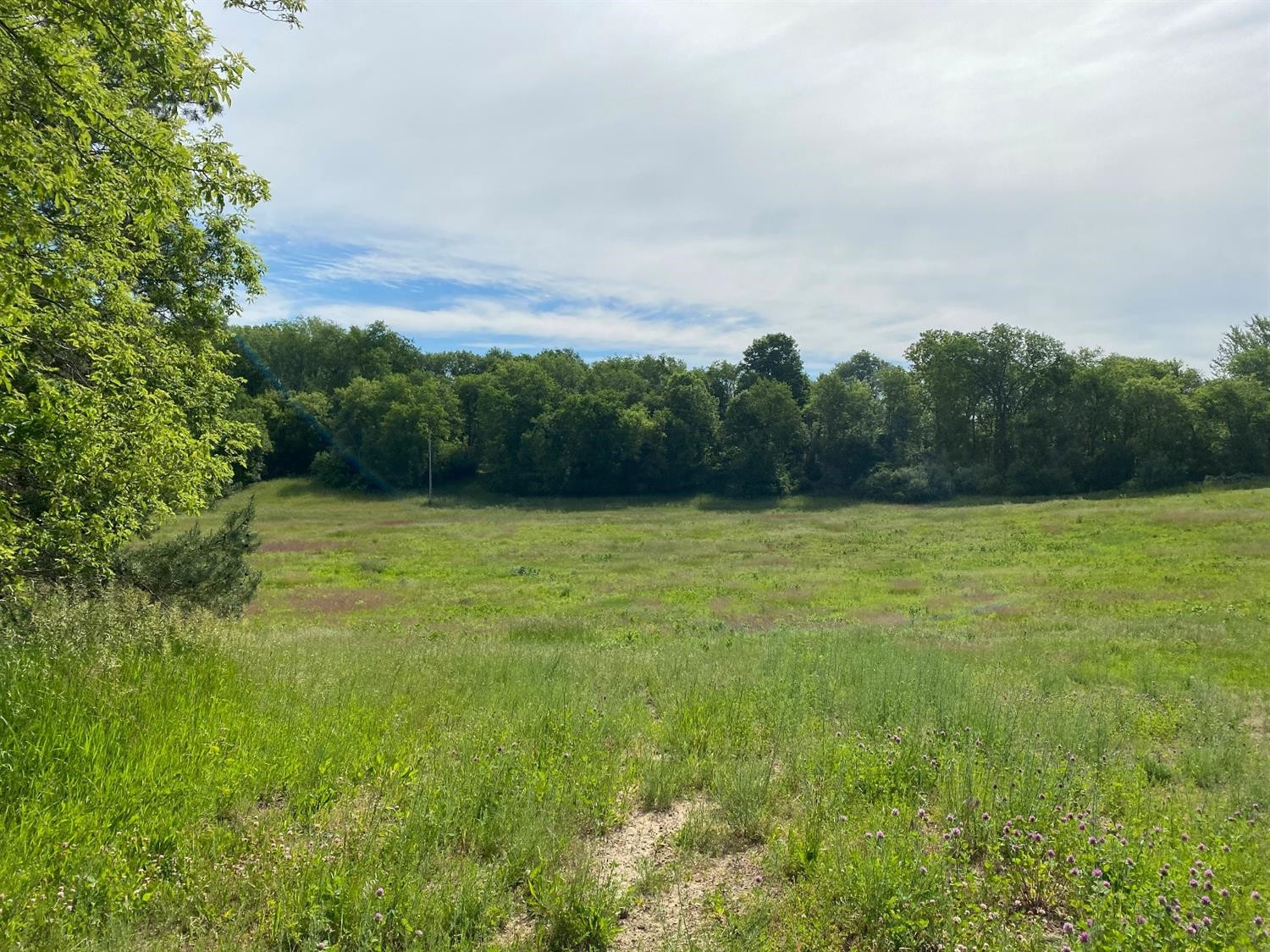 16473 Winters Road Grass Lake, MI 49240 - Photo 13 of 17 Photo 13
