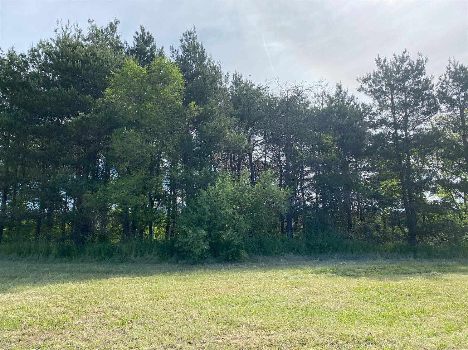 16473 Winters Road Grass Lake, MI 49240 - Photo 14 of 17 Photo 14
