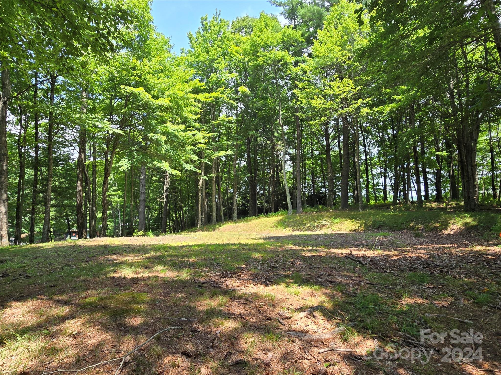 Lot 13 Vista Ridge Road West Jefferson, NC 28694 - Photo 1 of 16 Gallery Image 1