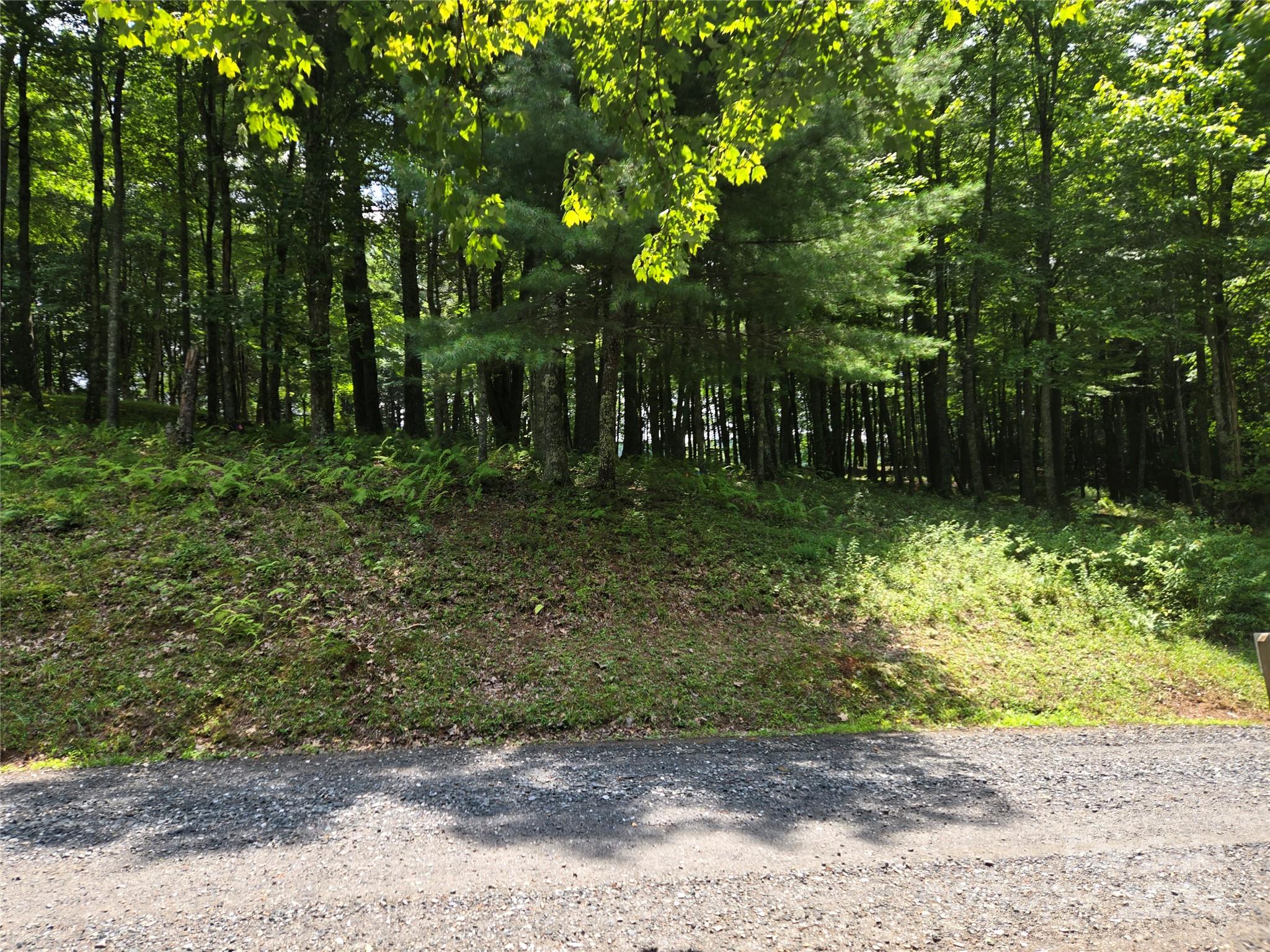 Lot 13 Vista Ridge Road West Jefferson, NC 28694 - Photo 14 of 16 Gallery Image 14