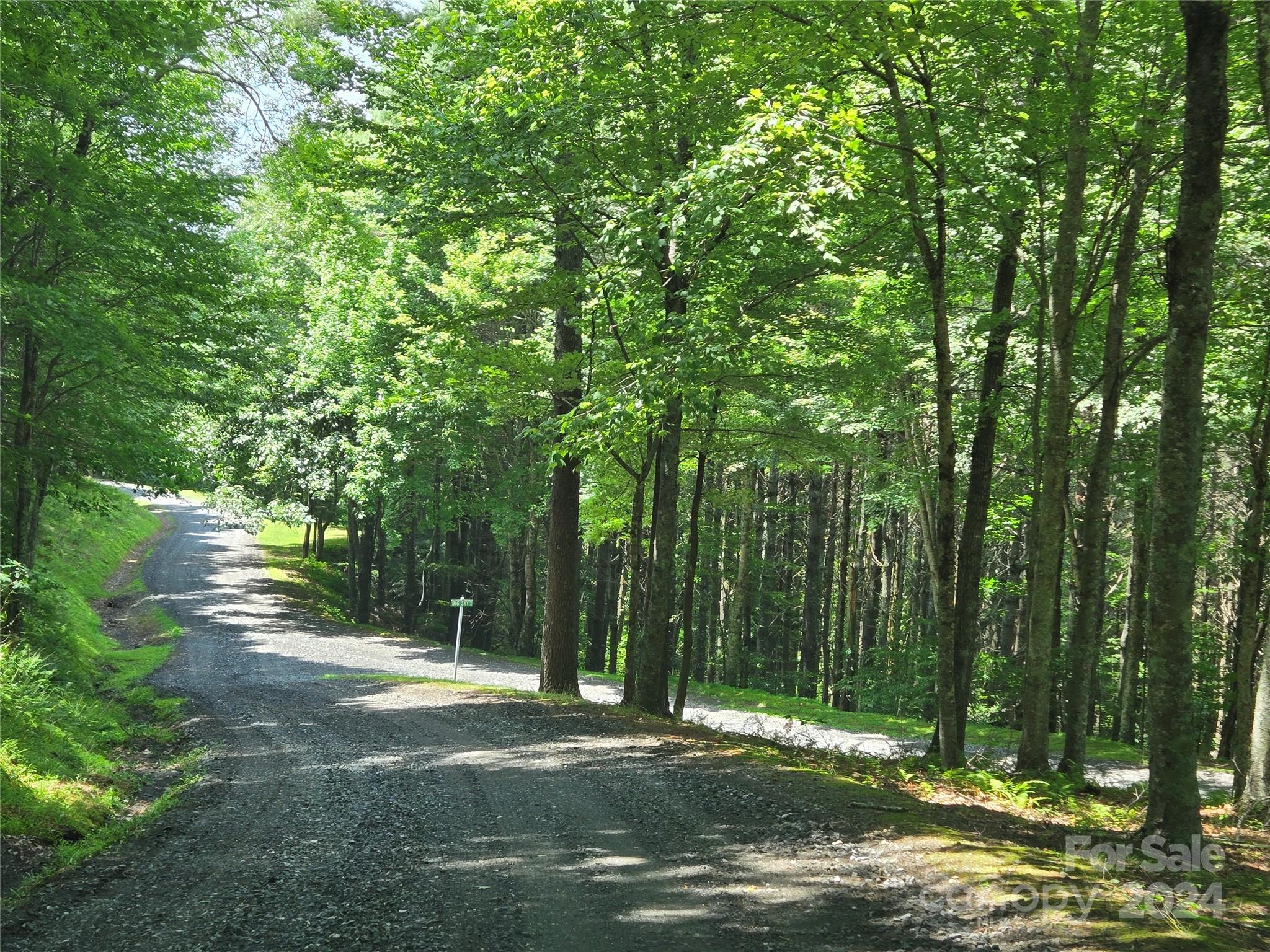 Lot 13 Vista Ridge Road West Jefferson, NC 28694 - Photo 3 of 16 Gallery Image 3