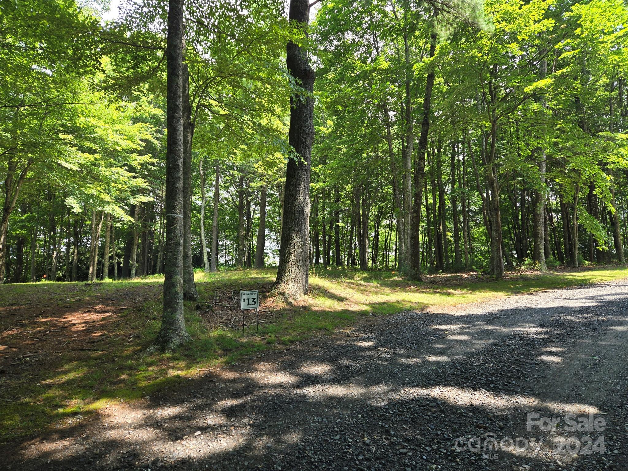 Lot 13 Vista Ridge Road West Jefferson, NC 28694 - Photo 4 of 16 Gallery Image 4