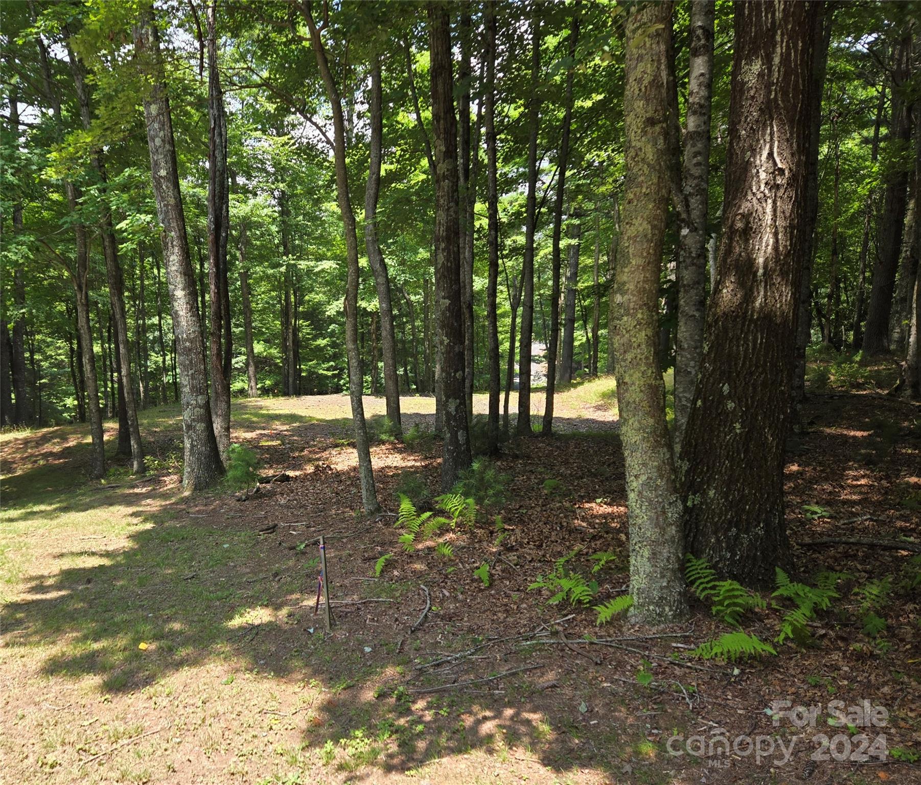 Lot 13 Vista Ridge Road West Jefferson, NC 28694 - Photo 8 of 16 Gallery Image 8