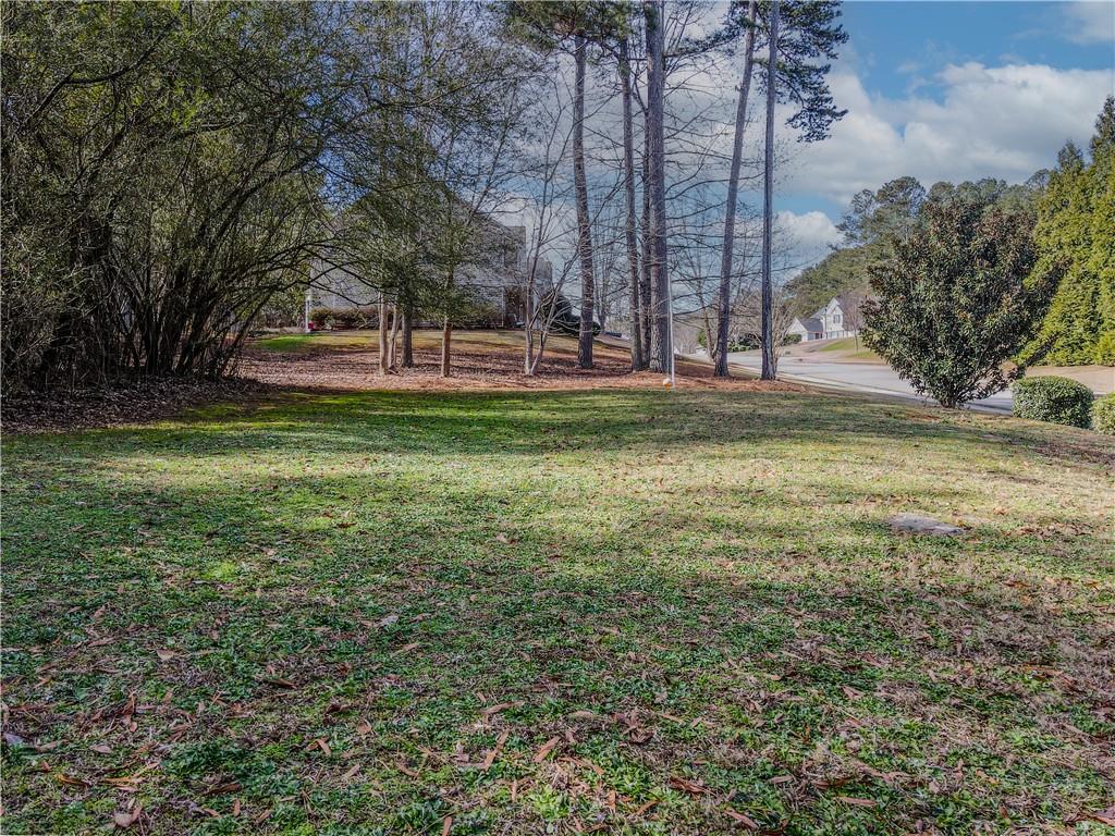 3100 Oak Ridge Lane Loganville, GA 30052 - Photo 39 of 43 a view of a garden with trees