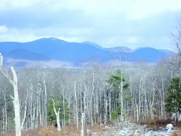 46 Dale Road Sandwich, NH 03227 - Photo 1 of 10