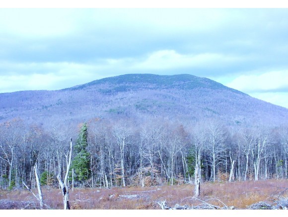 46 Dale Road Sandwich, NH 03227 - Photo 2 of 10