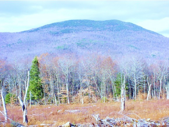 46 Dale Road Sandwich, NH 03227 - Photo 4 of 10
