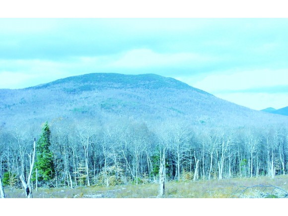 46 Dale Road Sandwich, NH 03227 - Photo 6 of 10