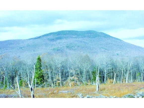 46 Dale Road Sandwich, NH 03227 - Photo 8 of 10